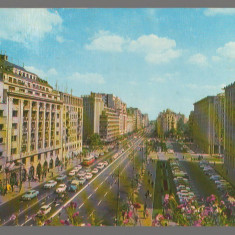 CPI B 10514 CARTE POSTALA - BUCURESTI. B-dul g-ral MAGHERU, AUTOTURISME