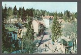 CPI B 10533 CARTE POSTALA - SINAIA. VEDERE, Necirculata, Fotografie
