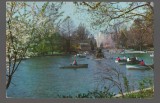 CPI B 10519 CARTE POSTALA - BUCURESTI. GRADINA CISMIGIU, BARCI, 1969