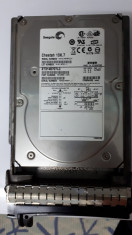 2xHDD Seagate Cheetah 10K.7 Ultra320 SCSI 146 GB foto