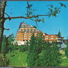 CPI B 10537 CARTE POSTALA - POIANA BRASOV. HOTELUL "ALPIN"