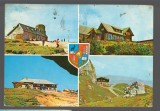 CPI B 10561 CARTE POSTALA - MUNTII BUCEGI. MOZAIC, STEMA