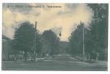 1664 - Rm. VALCEA, T. Vladimirescu Ave. Romania - old postcard - unused