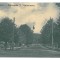 1664 - Rm. VALCEA, T. Vladimirescu Ave. Romania - old postcard - unused