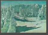 CPI B 10546 CARTE POSTALA - PREDEAL. VEDERE SPRE MUNTII BUCEGI, Circulata, Fotografie