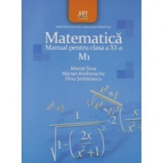 Manual matematica m1 clasa a XI-a foto