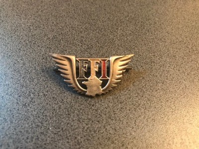 INSIGNA FFI foto