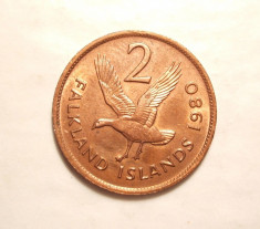 FALKLAND 2 PENCE 1980 GASCA SALBATICA foto