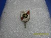 Insigna CIL Sighet