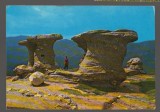 CPI B 10556 CARTE POSTALA - MUNTII BUCEGI. BABELE, 1974
