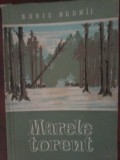 BORIS BEDNII - Marele torent