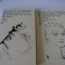 Jean Cocteau - Orphee, etc.