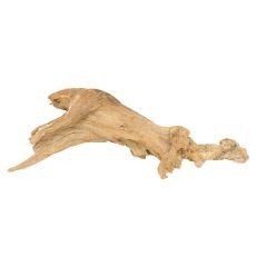 Fine Sinking Wood rădăcină pentru acvariu - 30 x 11 x 9 cm foto mare Fine Sinking Wood rădăcină pentru acvariu - 30 x 11 x 9 cm foto mare