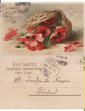 Ilustratori - Flori,natura moarta-Catharina Klein, Circulata, Printata