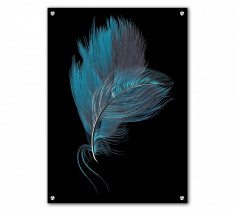 Tablou Acrilic Black Blue Feathers foto