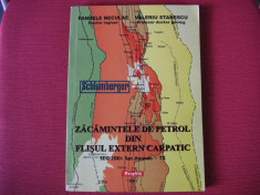 Zacamintele de petrol din flisul extern carpatic - Pandele Neculae,V.Stanescu foto