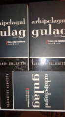 ARHIPELAGUL GULAG 3 VOLUME = SOLJENITIN foto