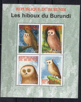 BURUNDI 2009 BUFNITE foto