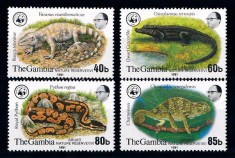 GAMBIA 1981 WWF REPTILE ABUKO RESERVE IV COTA MICHEL 140 EURO foto