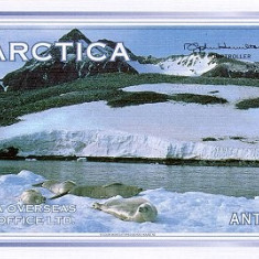 ANTARCTICA █ bancnota █ 5 Dollars █ 1996 █ UNC █ necirculata █