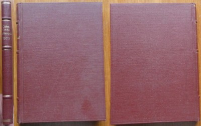 Calendarul Ghimpelui pe anul 1875, 1874, cu 24 gravuri foto