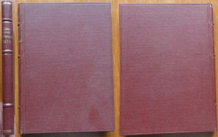 Calendarul Ghimpelui pe anul 1875, 1874, cu 24 gravuri