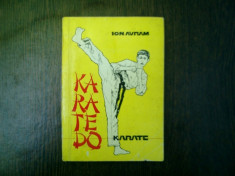 Karate - Ion Avram foto
