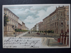 TIMISOARA - ANUL 1899 - STRADA ANDRASSY - LITOGRAFIE - CLASICA foto