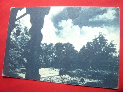 Ilustrata Parcul Cotroceni - Luna Bucurestilor , interbelica foto