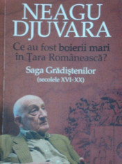 CE AU FOST BOIERII MARI IN TARA ROMANEASCA, SAGA GRADISTENILOR SEX XVI- XX de NEAGU DJUVARA foto