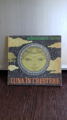 LUNA IN CRESTERE - RABINDRANATH TAGORE foto