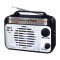 Radio portabil Leotec LT-Q2, 4 benzi, mufa jack