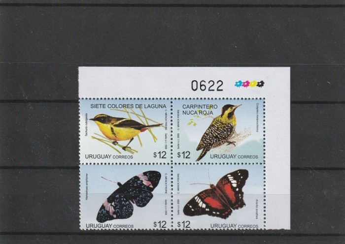 Fauna ,pasari fluturi ,Uruguay.