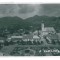 3509 - BAIA-MARE, Market, panorama - old postcard, real PHOTO - used - 1941
