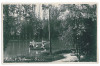 3870 - CRAIOVA, Bibescu Park, Romania - old postcard, real PHOTO - unused, Necirculata, Fotografie