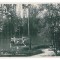 3870 - CRAIOVA, Bibescu Park, Romania - old postcard, real PHOTO - unused