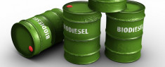 OFERTA BIODIESEL foto