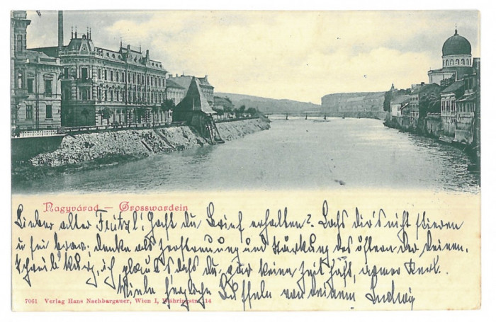 3494 - ORADEA, SYNAGOGUE, river Cris, Litho - old postcard - used 1899