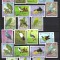 MANAMA PASARI MI. 159-169 A+B MNH DANTELAT + NEDANTELAT