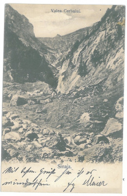 3508 - SINAIA, Mountain Valea Cerbului, litho - old postcard - used - 1904 foto