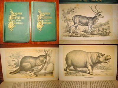 Set 2 volume Biografia Stiintelor Naturii-A.W.Grabe-Stuttgart 1877-1878. foto