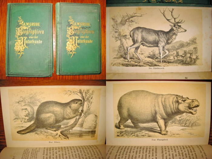 Set 2 volume Biografia Stiintelor Naturii-A.W.Grabe-Stuttgart 1877-1878.