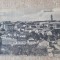Cernăuți- Panorama.