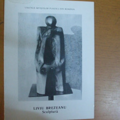 Liviu Brezeanu 1993 Galateea expoziție sculptură conține lista completă exponate