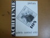 Achitenie Ion - Pictura Caminul Artei 1992, Expozitie - Pliant Arta