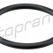 Garnitura, carcasa filtru aer SEAT IBIZA II (6K1) (1993 - 1999) TOPRAN 113 884