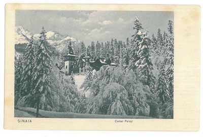 1727 - SINAIA, Peles Castle, Romania - old postcard - unused foto