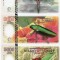 RARR : ATLANTIC FOREST - LOT 1000 + 2000 + 5000 AVES 2016 - UNC / INSECTE