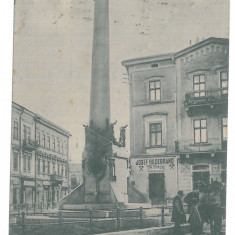 2435 - CERNAUTI, Bucovina, statue - old postcard - used