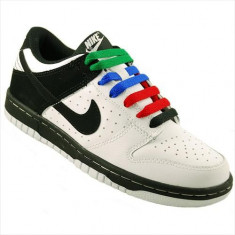 Pantofi Copii Nike Dunk Low GS 310569103 foto